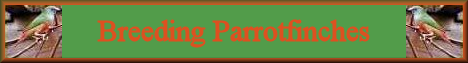parrotfinches index banner